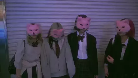 meme cult／ミームカルトのTikTok投稿