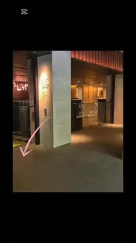 おでかけライフのTikTok投稿