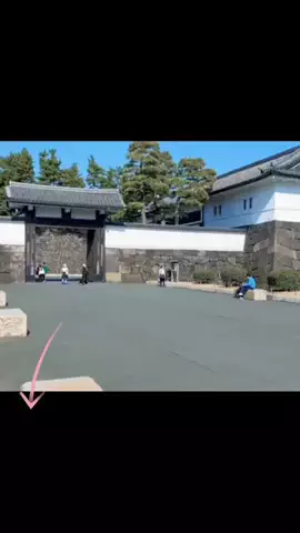 おでかけライフのTikTok投稿