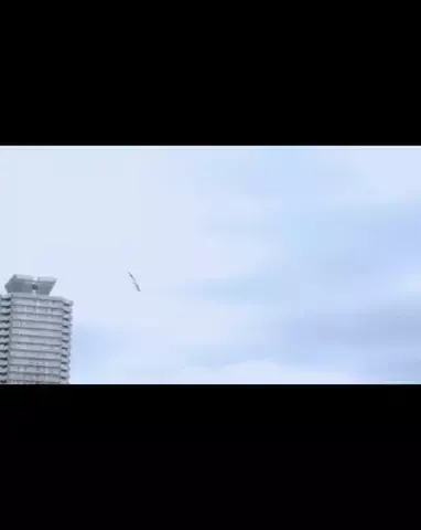 meme cult／ミームカルトのTikTok投稿