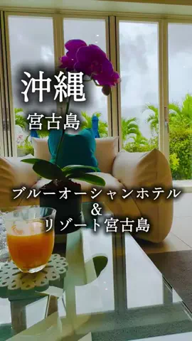 アルコールのひとのTikTok投稿