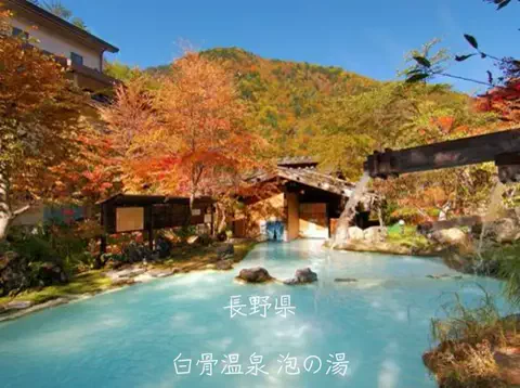 ごろり旅のTikTok投稿