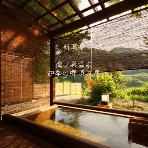 ごろり旅のTikTok投稿