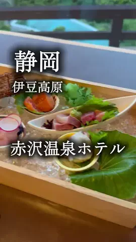 アルコールのひとのTikTok投稿