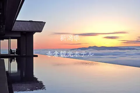 ごろり旅のTikTok投稿