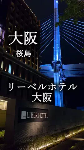 アルコールのひとのTikTok投稿