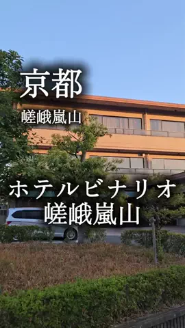 アルコールのひとのTikTok投稿