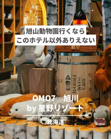 旅と北海道｜ROYのTikTok投稿