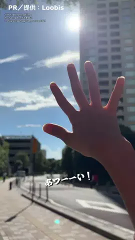 ビーグルきなこ｜ビーグル観察バラエティーのTikTok投稿