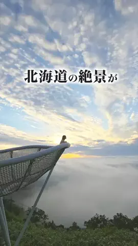 旅と北海道｜ROYのTikTok投稿