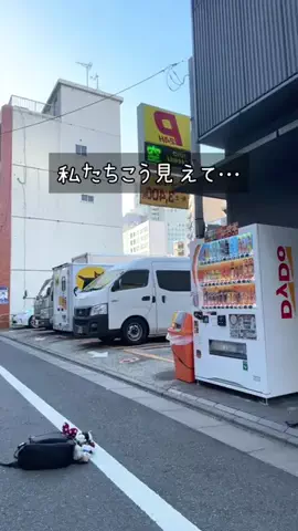 白井 雪乃のTikTok投稿