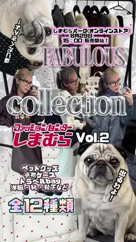 ペコピノ🐶さっちゃんのTikTok投稿