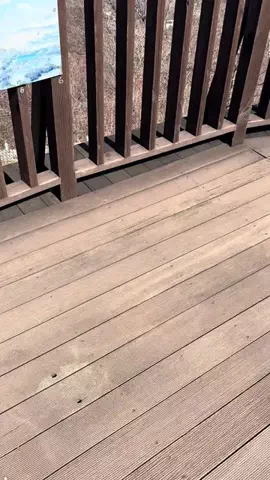 おとけしきのTikTok投稿