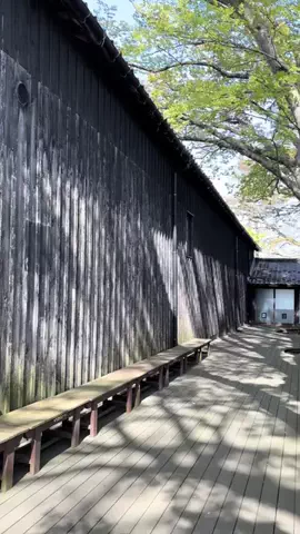 おとけしきのTikTok投稿
