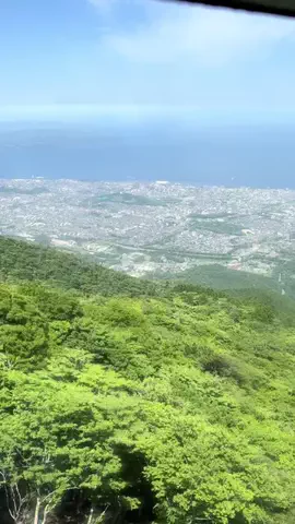 おとけしきのTikTok投稿