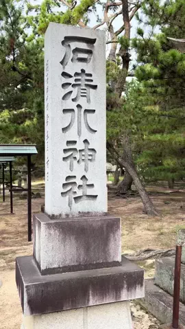 おとけしきのTikTok投稿