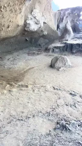 おとけしきのTikTok投稿