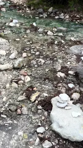 おとけしきのTikTok投稿