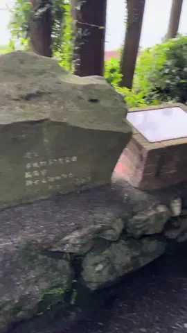 おとけしきのTikTok投稿