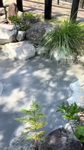 おとけしきのTikTok投稿