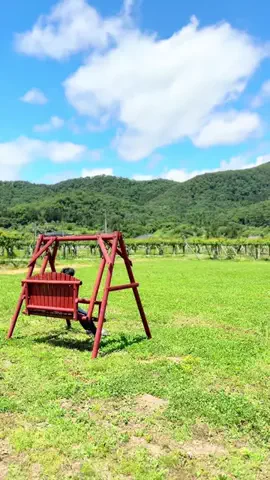 おとなTOこどもTRiPのTikTok投稿