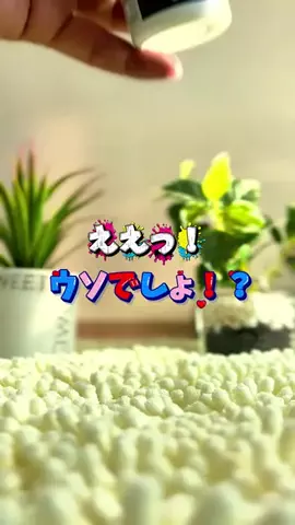 さくら🎀PDRN💝美容オタクのTikTok投稿