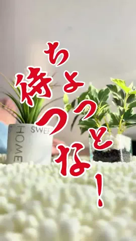 さくら🎀PDRN💝美容オタクのTikTok投稿