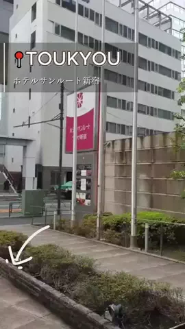 ホテル紹介🍓のTikTok投稿