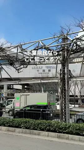 千葉グルメ／CHIBA SELECTのTikTok投稿