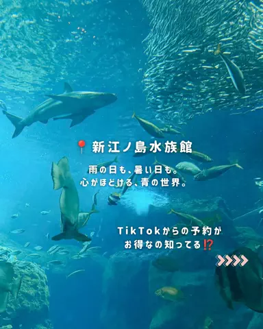 みぽ🌞心震える旅の記録のTikTok投稿