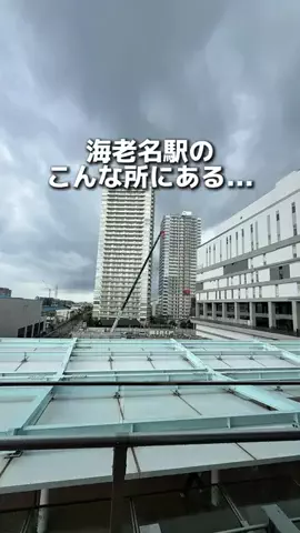 えびなびのTikTok投稿