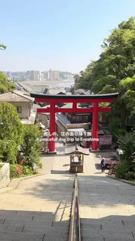 みぽ🌞心震える旅の記録のTikTok投稿