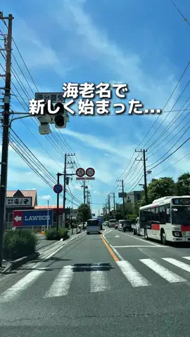 えびなびのTikTok投稿