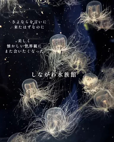 みぽ🌞心震える旅の記録のTikTok投稿