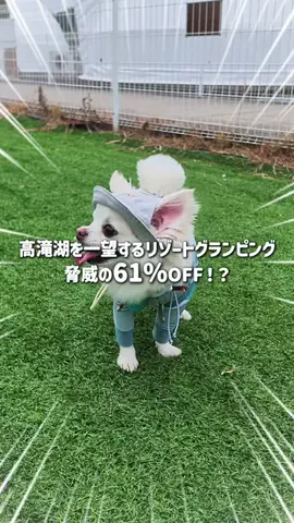 ベジタビ｜とくとく旅行ガイド💸のTikTok投稿