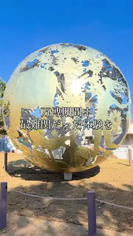 万博ママのTikTok投稿