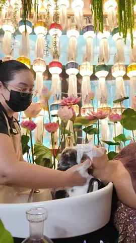 タイ人ガイドのター🇹🇭のTikTok投稿