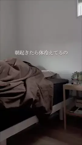 haku_noieのTikTok投稿