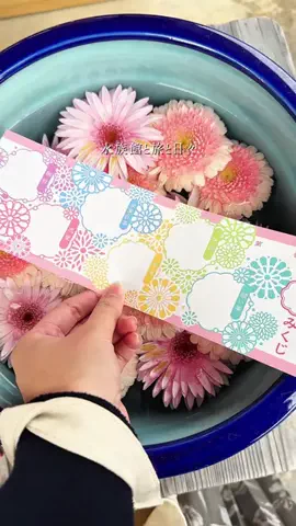 弥桜🌸/日本の水族館を巡る旅🪼のTikTok投稿