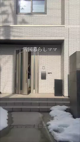 haku_noieのTikTok投稿