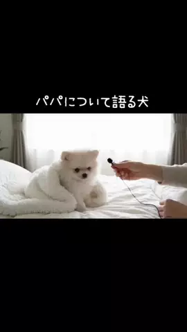 犬猫総合製薬株式会社のTikTok投稿