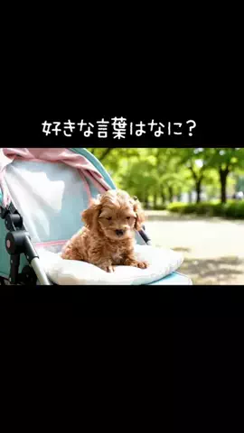 犬猫総合製薬株式会社のTikTok投稿