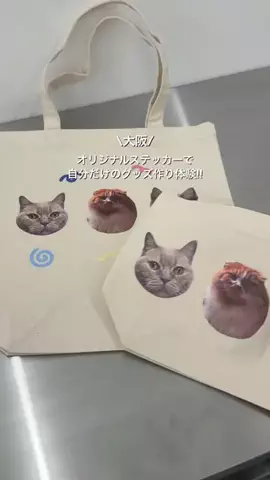 かなのTikTok投稿