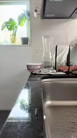 haku_noieのTikTok投稿