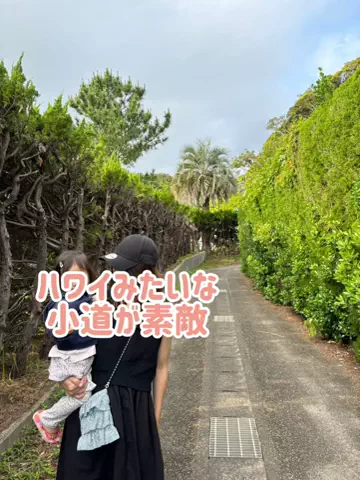 阿川麻美 Asami AgawaのTikTok投稿