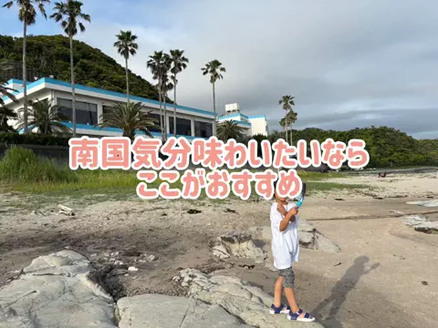 阿川麻美 Asami AgawaのTikTok投稿