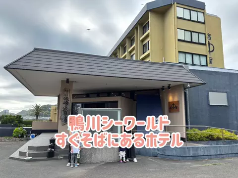 阿川麻美 Asami AgawaのTikTok投稿