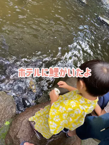 阿川麻美 Asami AgawaのTikTok投稿