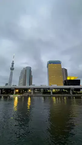 はちぱん🍞東京下町パンとカフェのTikTok投稿