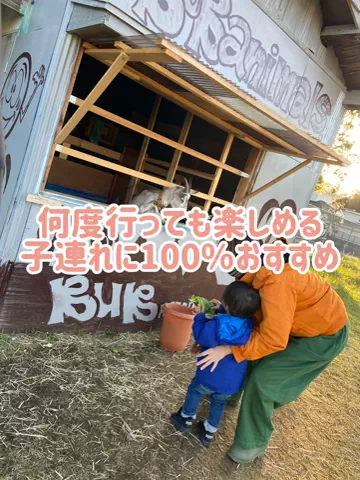 阿川麻美 Asami AgawaのTikTok投稿